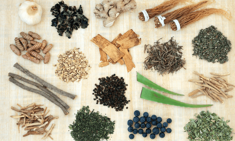 Adaptogene Welche gibt es und was bewirken sie? Viktilabs