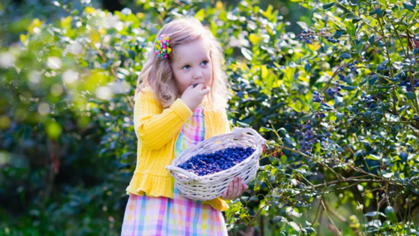 Vitamine für Kinder: Diese Nährstoffe dürfen nicht fehlen