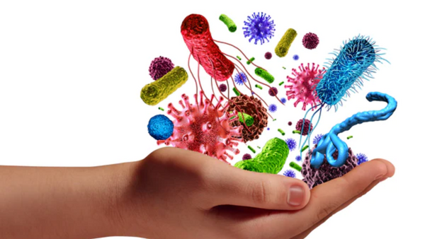 Autoimmunerkrankungen: Auf diese Nährstoffe solltest du achten