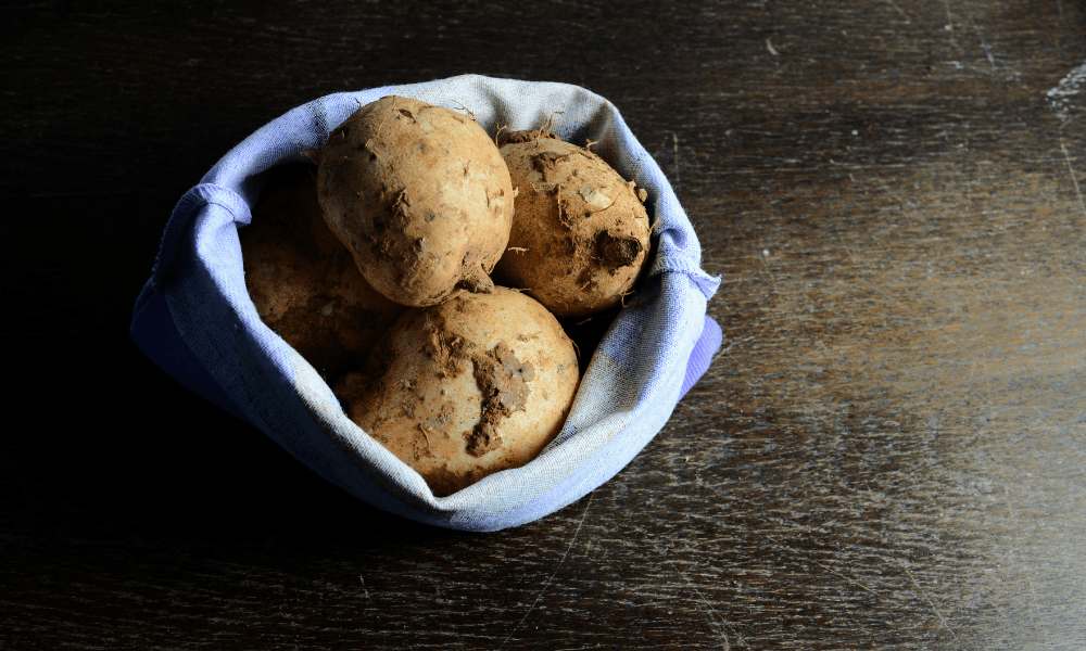 Wild Yam: Die Stärken und Schwächen der Wurzel