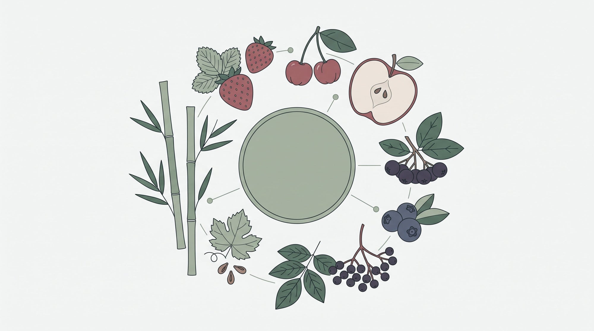 Vitamine und Mineralstoffe: Welche Aufgaben übernehmen sie im Körper?