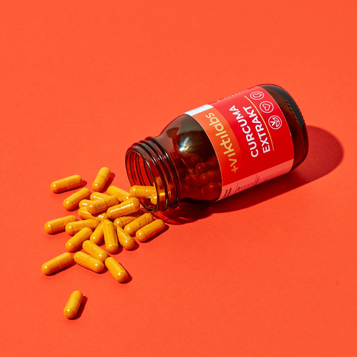 06 250222 Viktilabs 1066