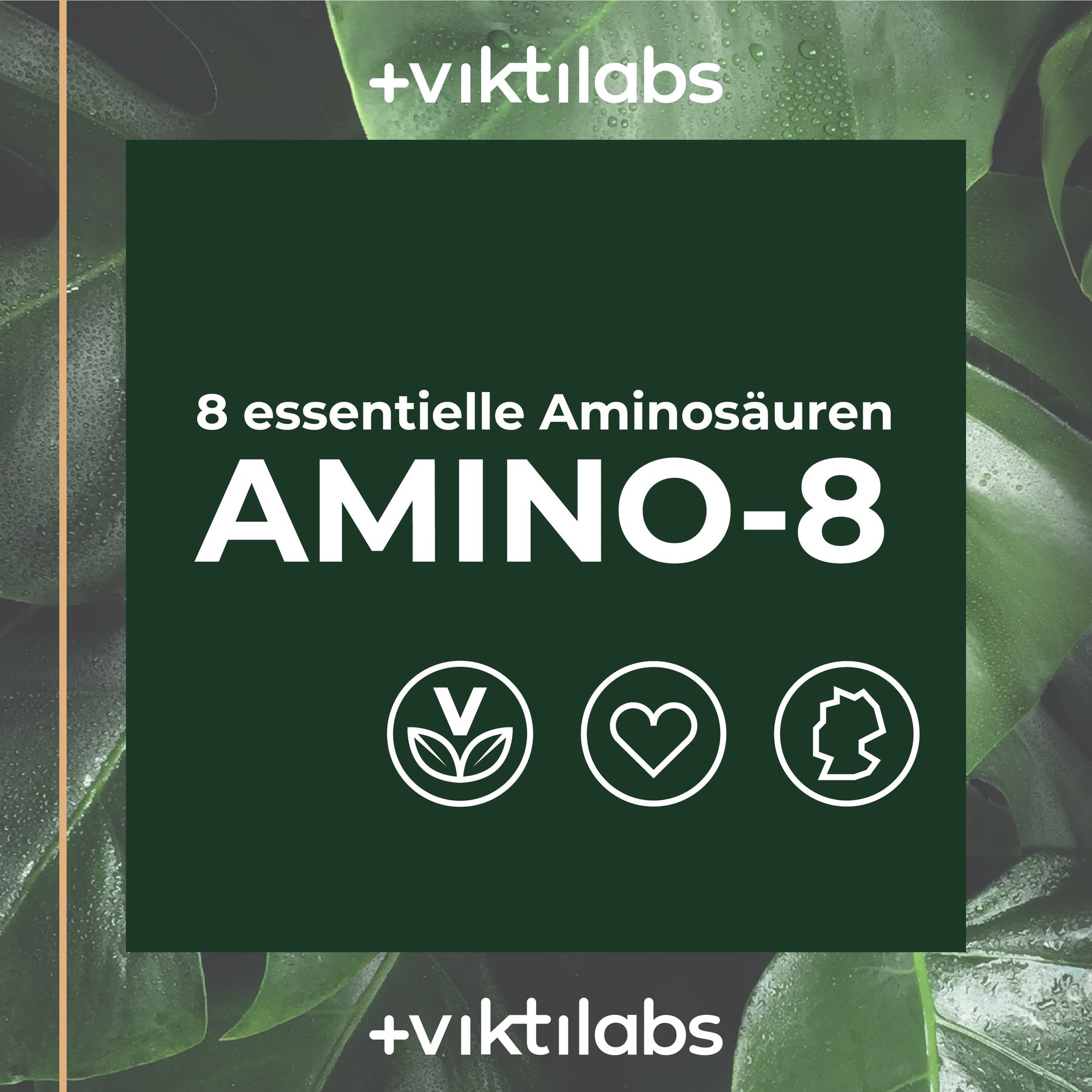 NL Offer Amino 8 – all essential amino acids in optimal combination - 150 tablets