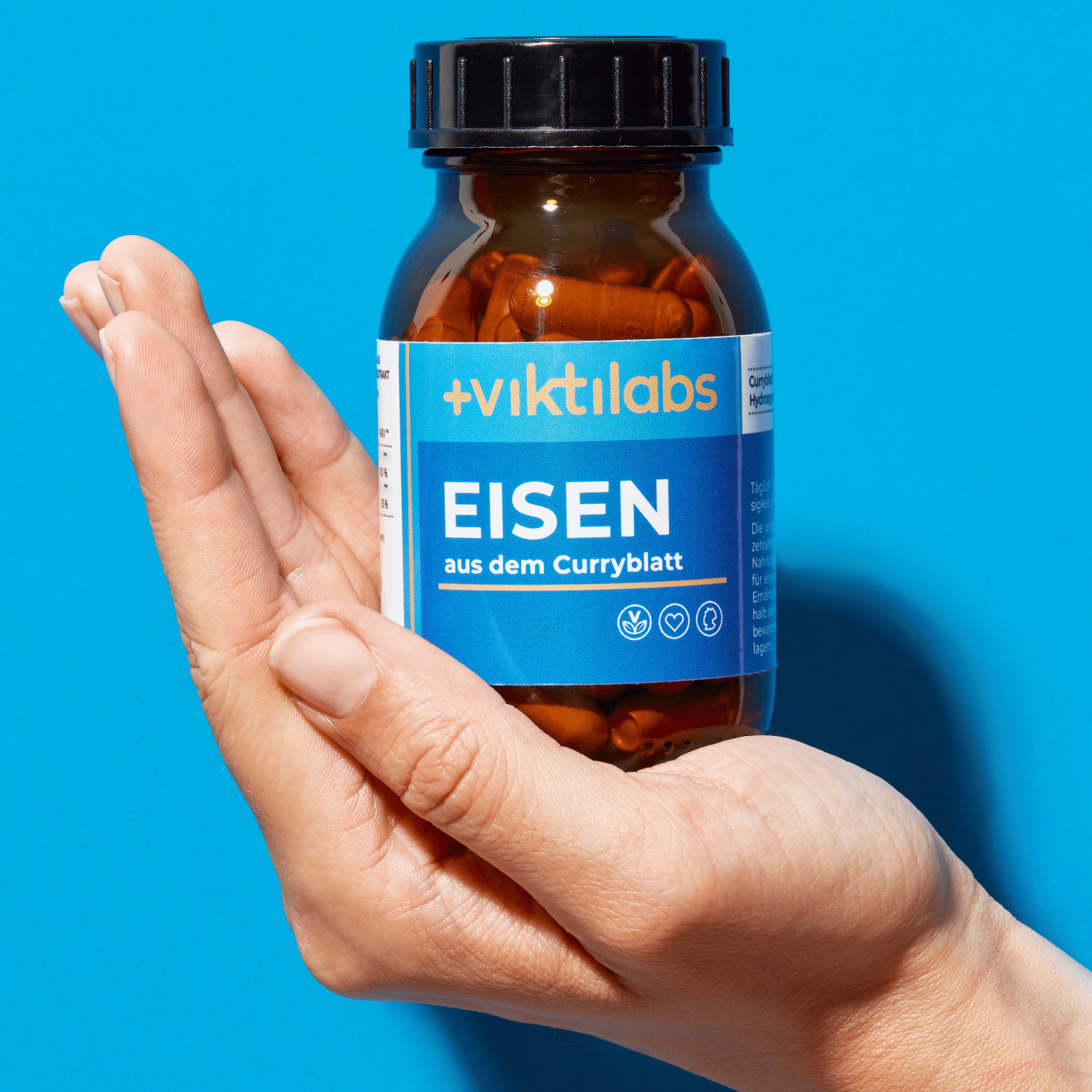 Eisen aus dem Curryblatt - 60 Kapseln