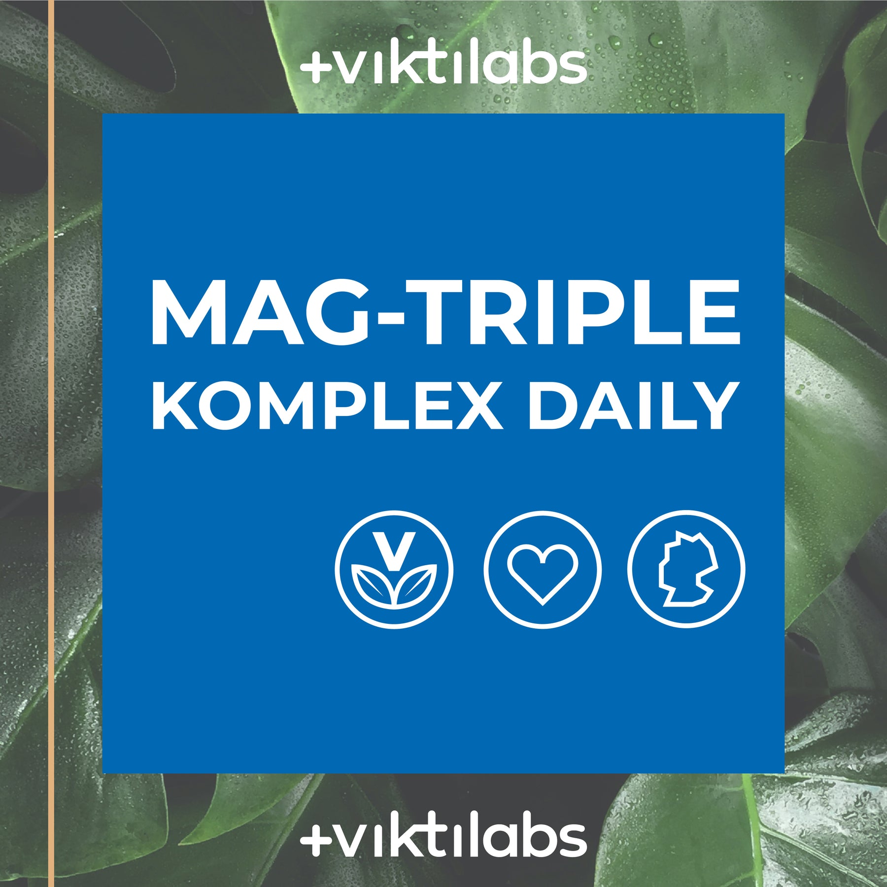Mag-Triple® Daily Komplex – Magnesiumkomplex - 60 Kapseln