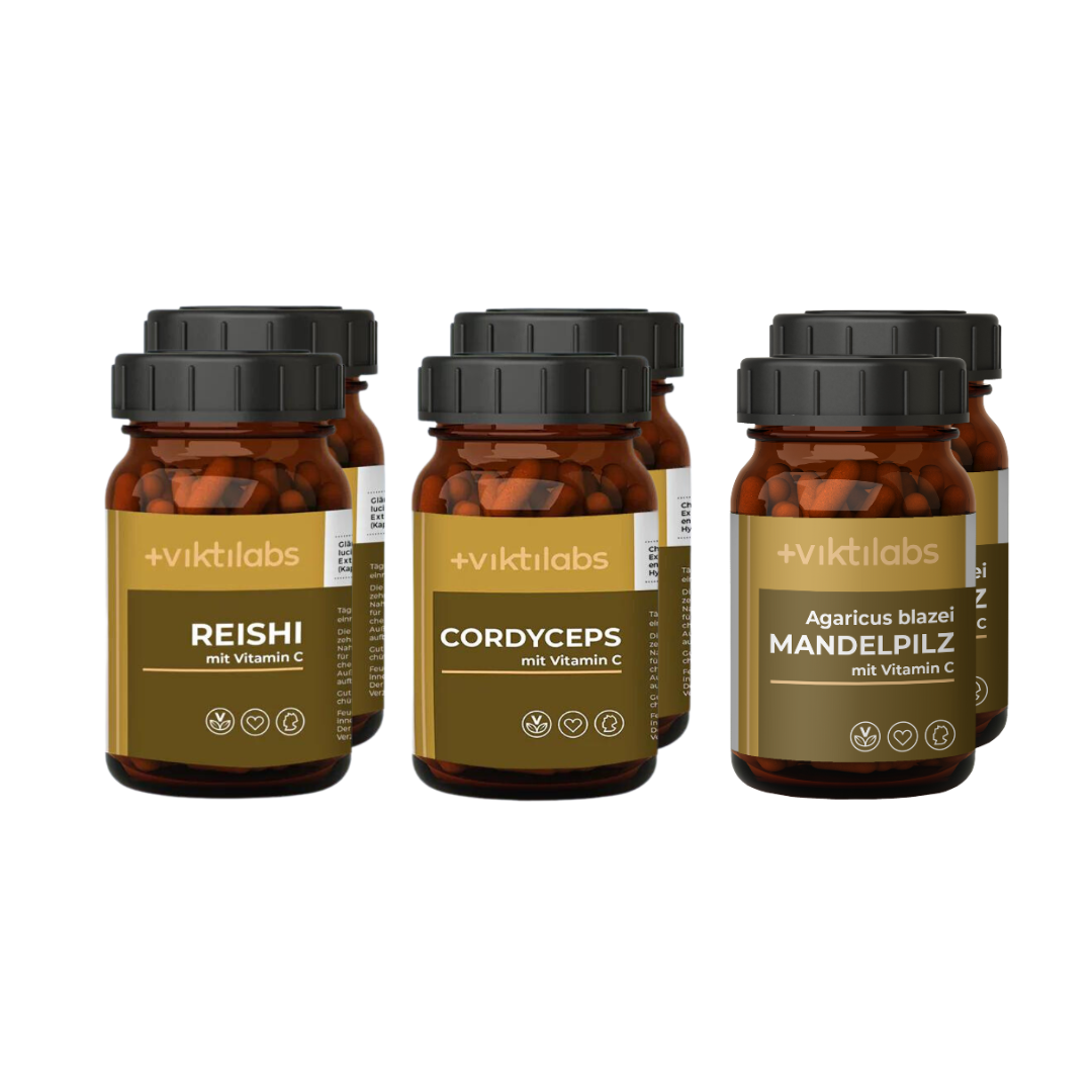 Bundle Angebot 6er Packung Vitalpilze - Reishi, Cordyceps, Mandelpilz (71,58 € pro Set - Spare 10,19 %)