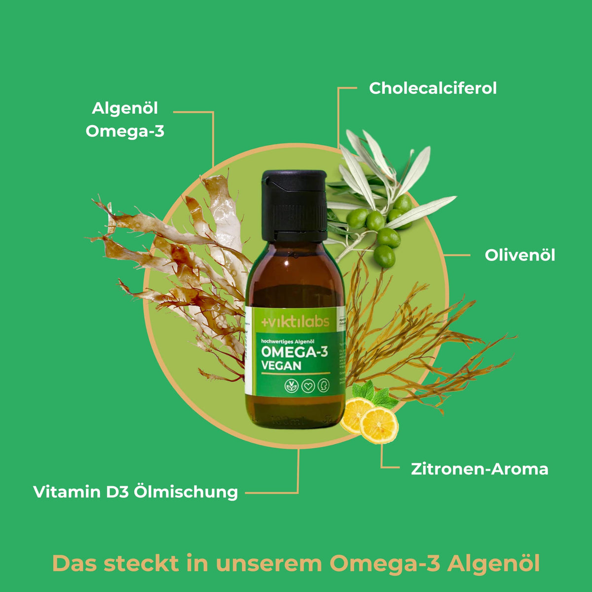 Angebot für Omega-3: Vegan mit Algenöl