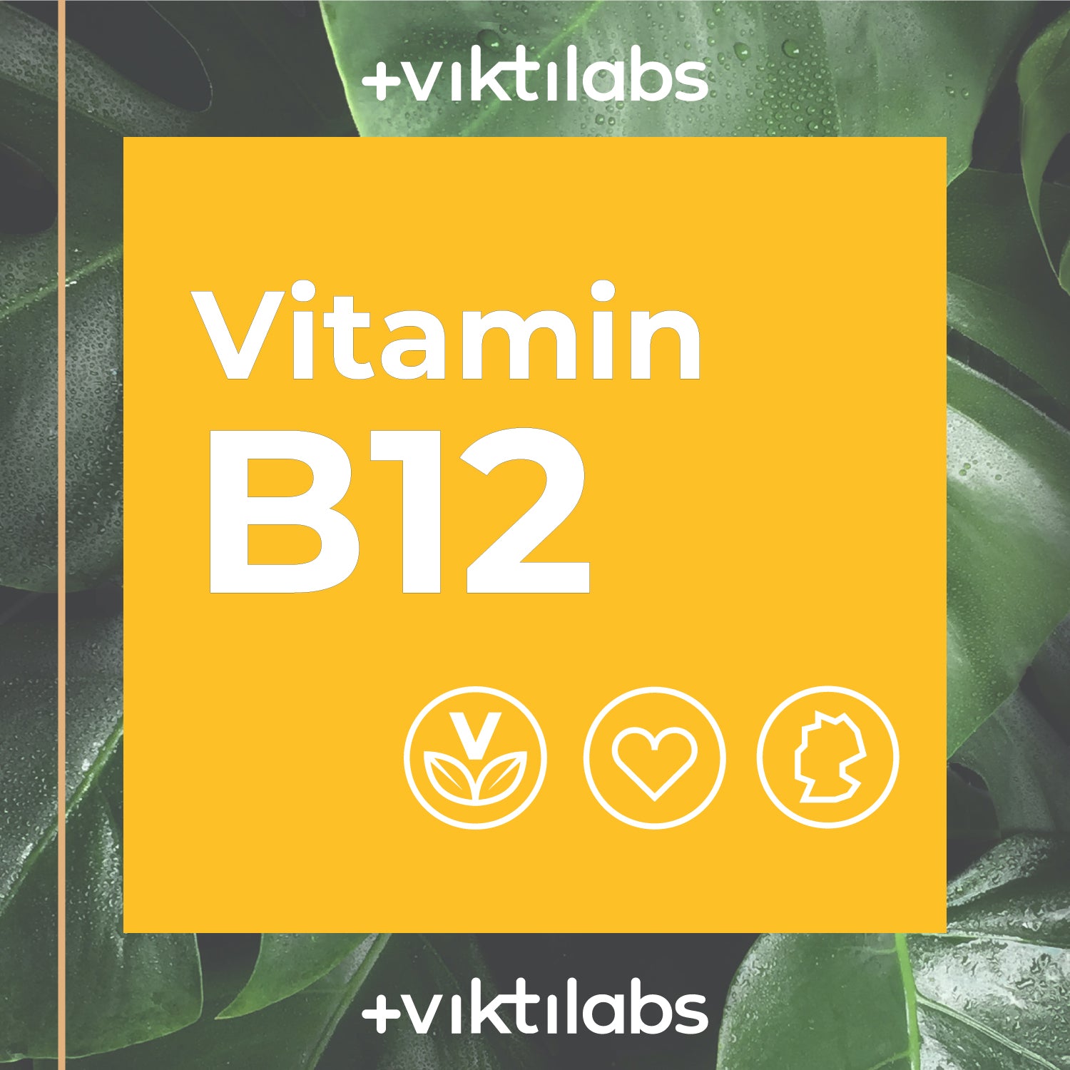 Vitamin B12 - aus bioaktivem, direkt verwertbarem Methylcobalamin - 180 Presslinge