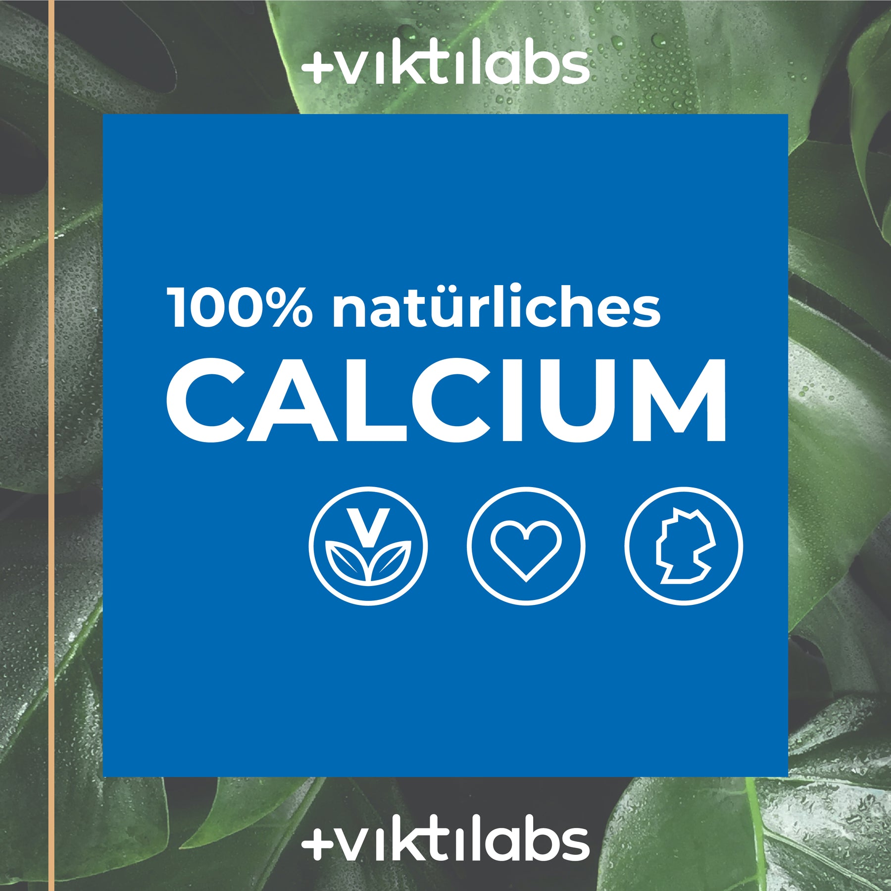 Natürliches Calcium aus der atlantischen Rotalge - 90 Kapseln