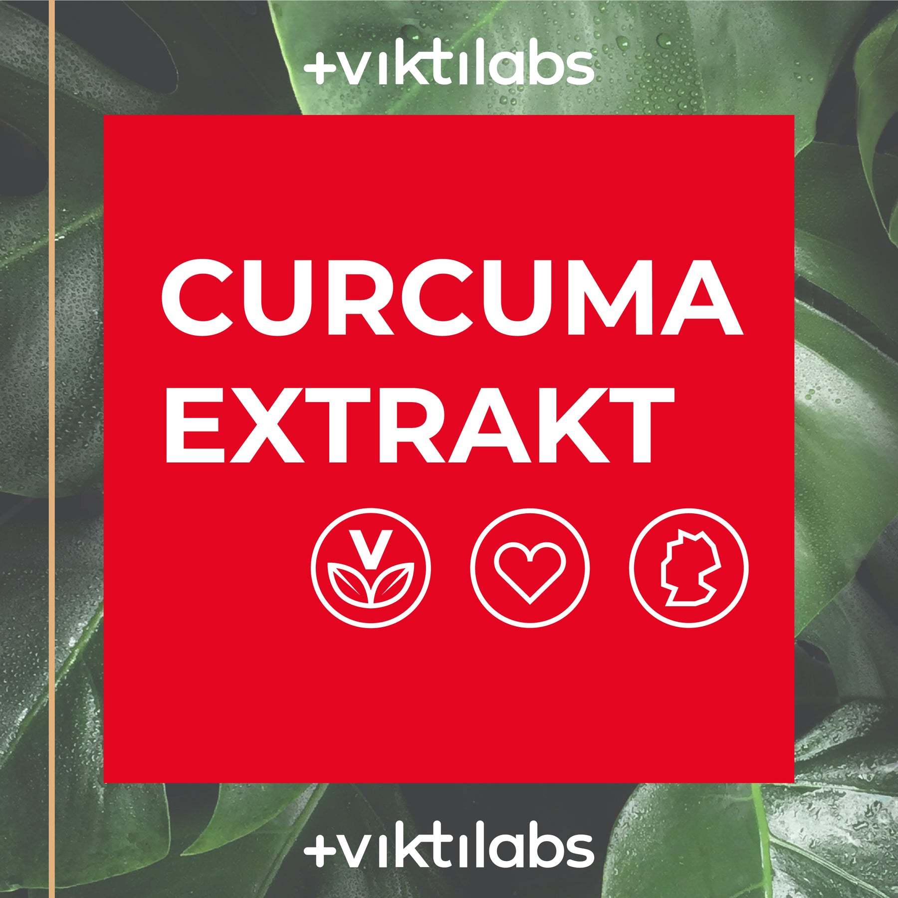 Kurkuma – Kombination aus Kurkuma-Extrakt, Kurkuma-Pulver und Piperin - 60 Kapseln