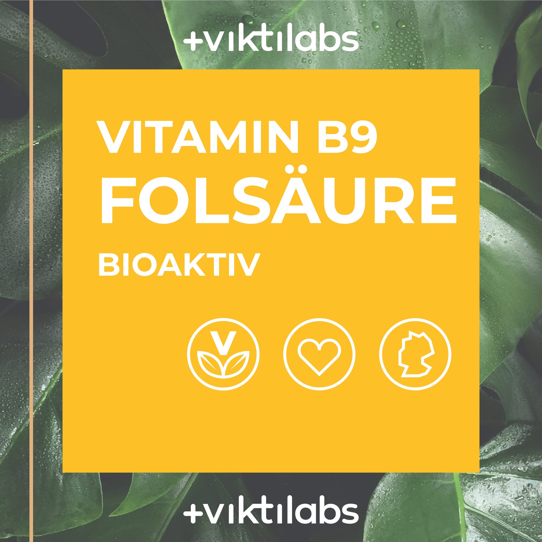 Vitamin B9 - Folsäure (Bioaktiv) - 60 Kapseln