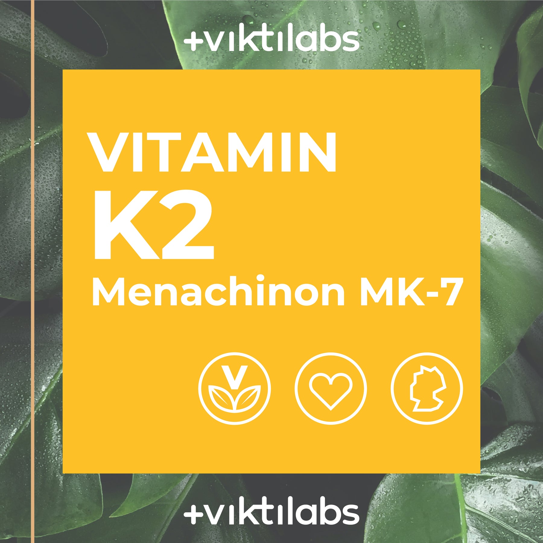 Vitamin K2 – für starke Knochen - 50ml