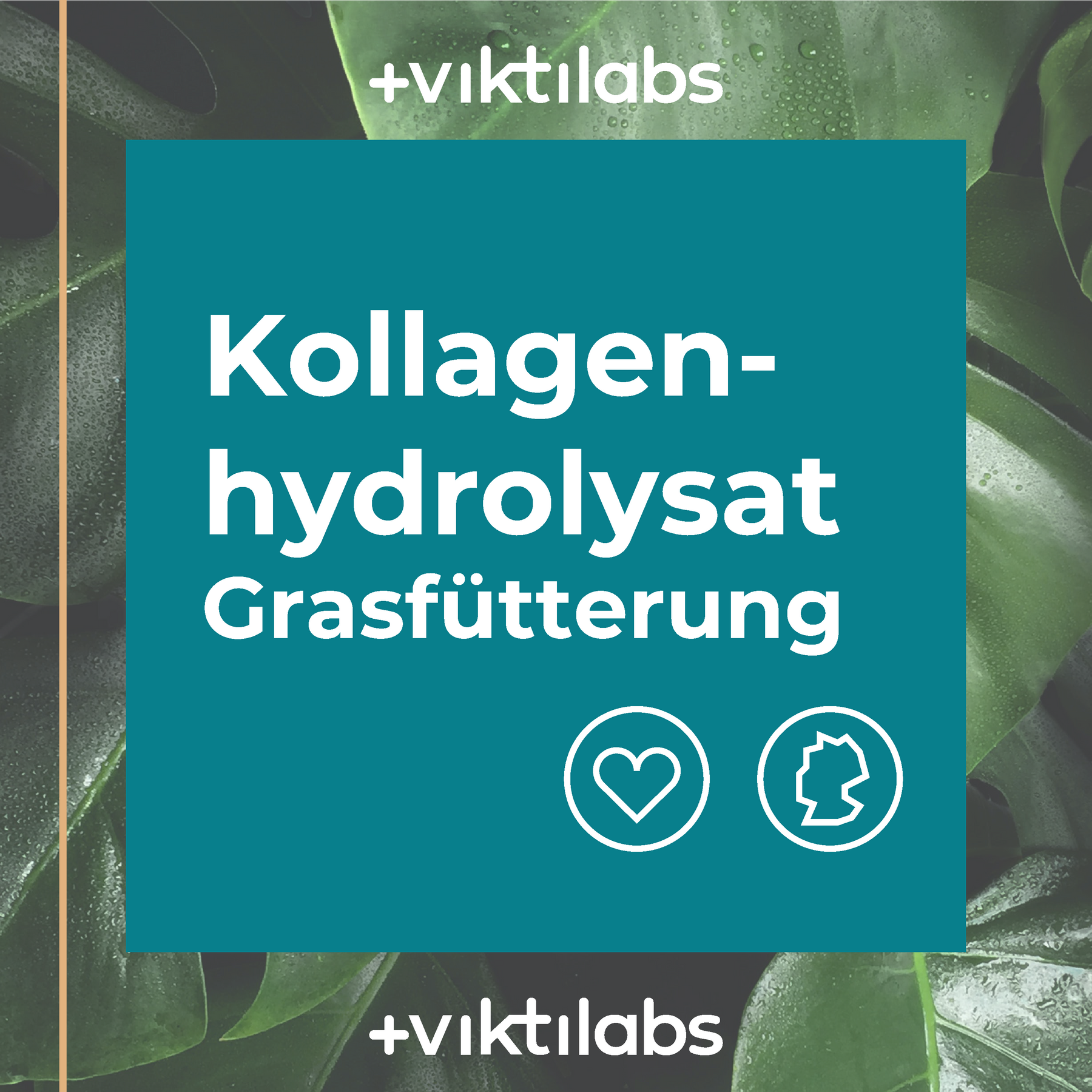 9 packs of grass-fed collagen á 500g