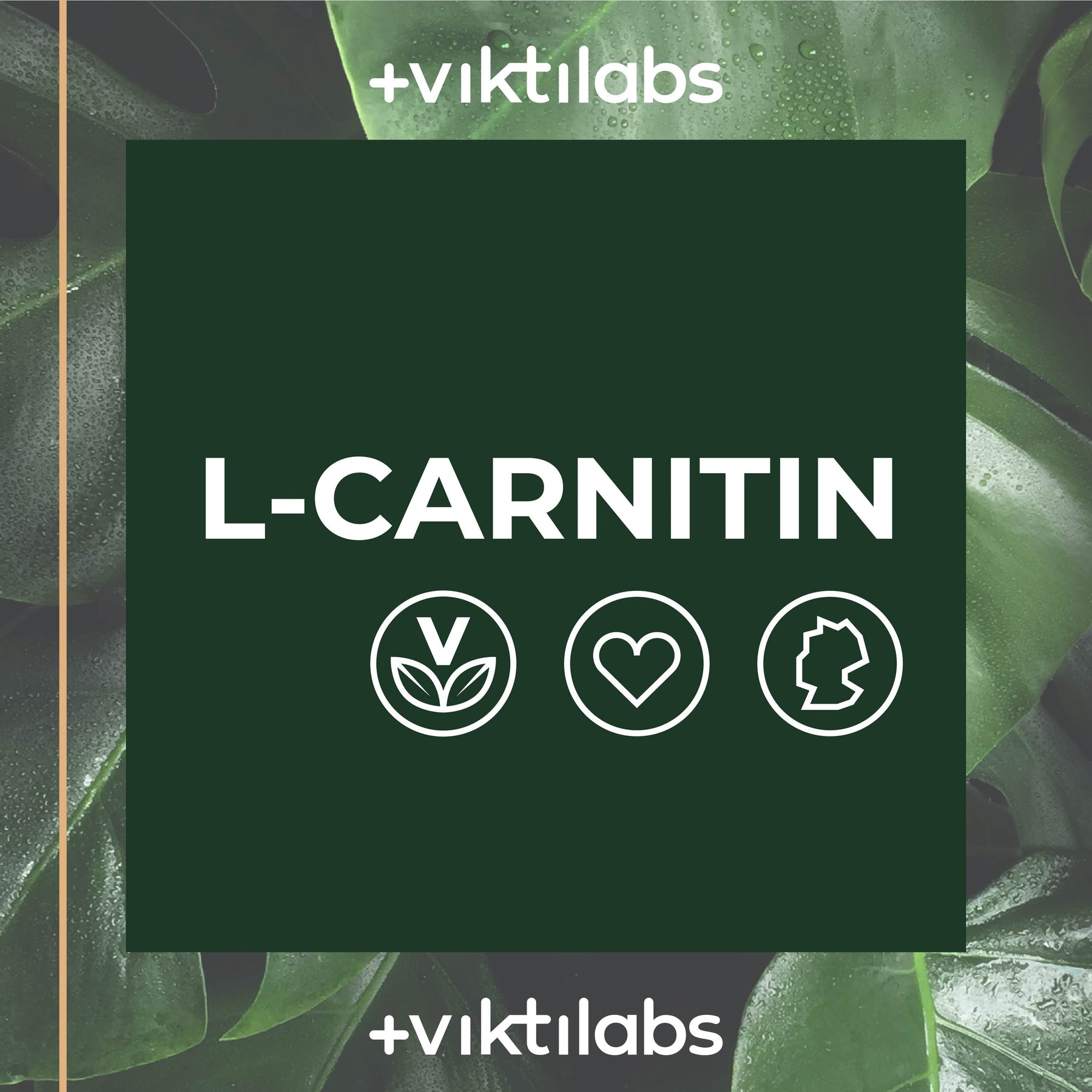 L-Carnitin - 90 Kapseln