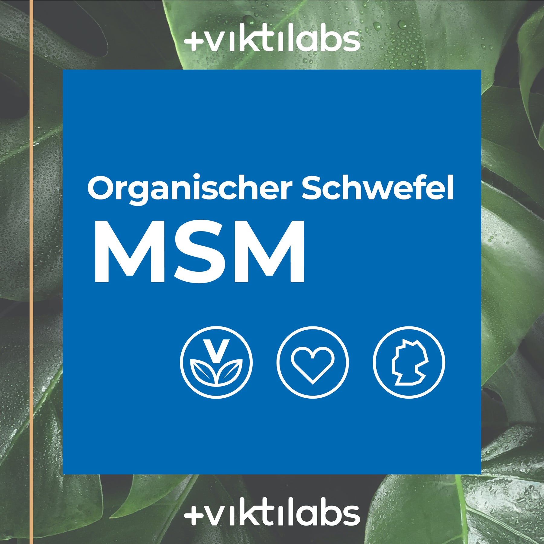 MSM – Organischer Schwefel - 90 Kapseln