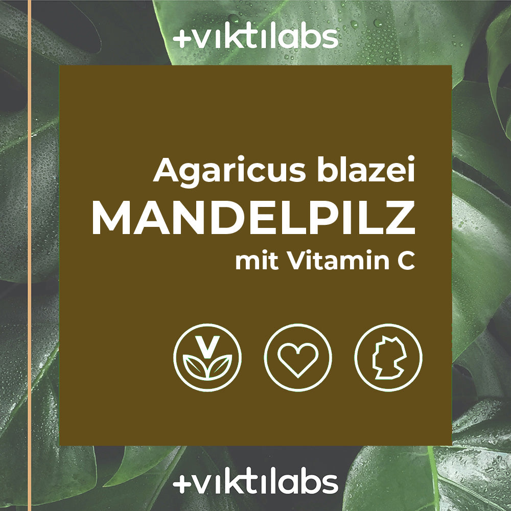 Mandelpilz - Agaricus blazei - mit Vitamin C - 60 Kapseln