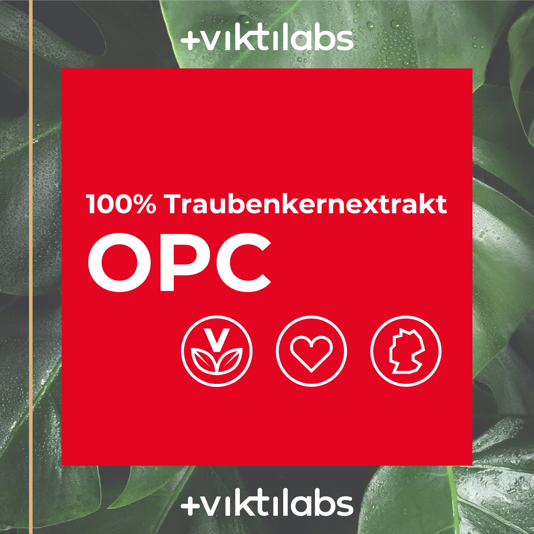 OPC Premium – 400 mg natürlicher Traubenkernextrakt - 90 Kapseln
