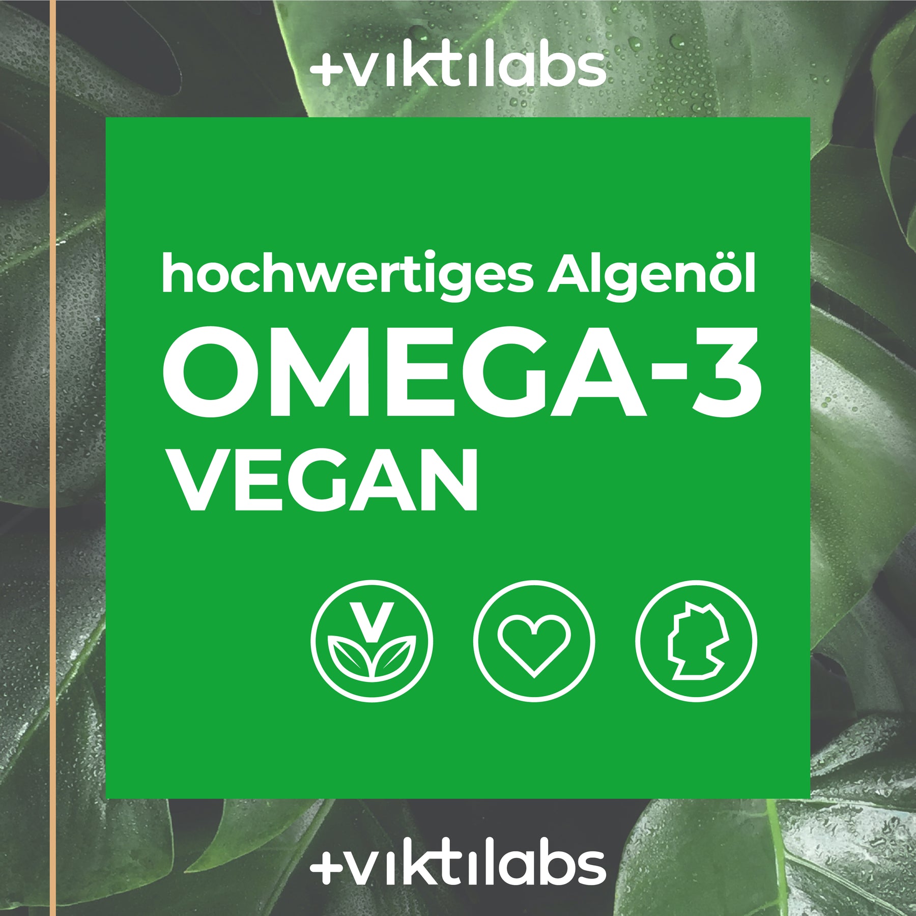 Omega-3 Vegan mit Algenöl - 100 ml