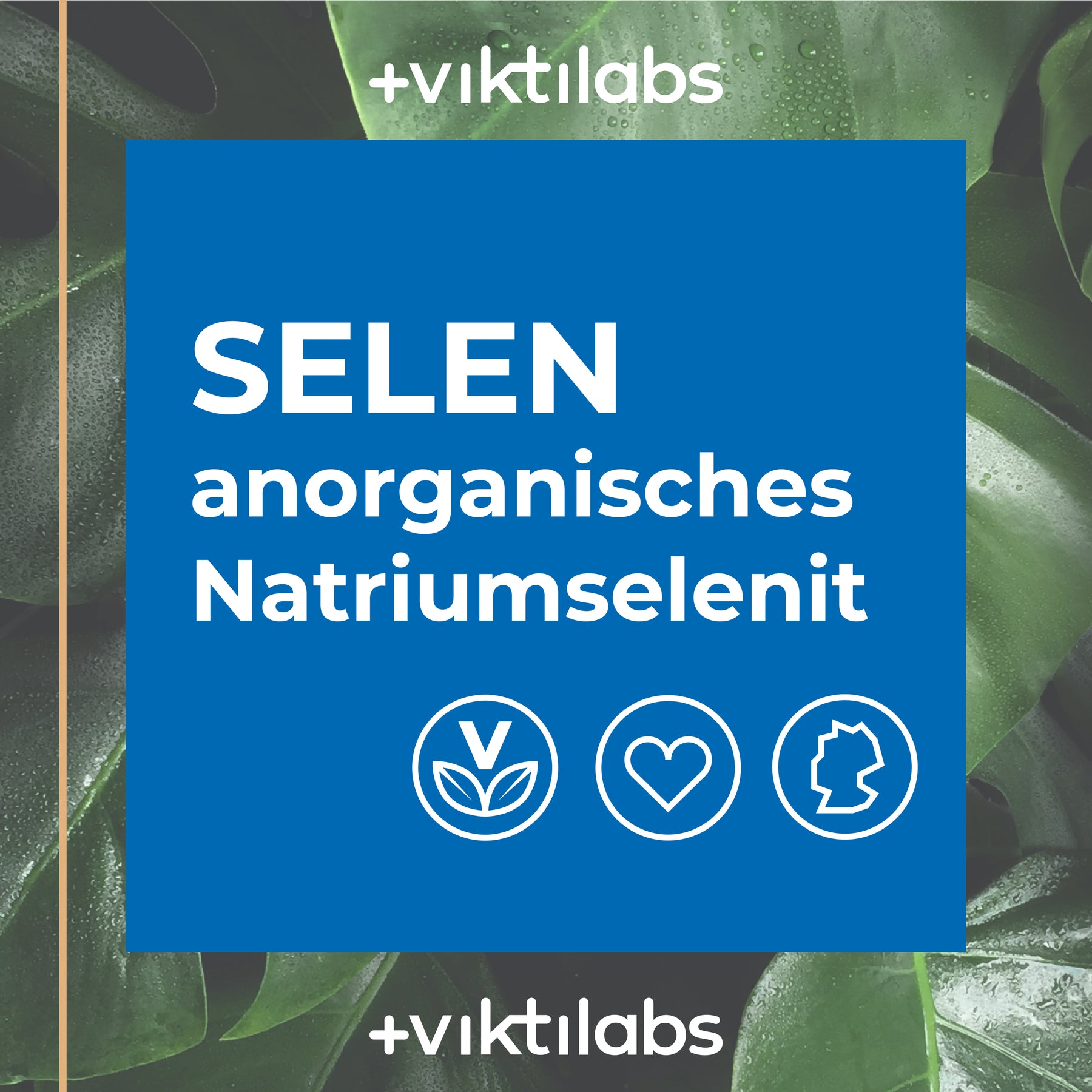 Selentropfen - Anorganisches Natriumselenit mit hoher Bioverfügbarkeit - 50ml