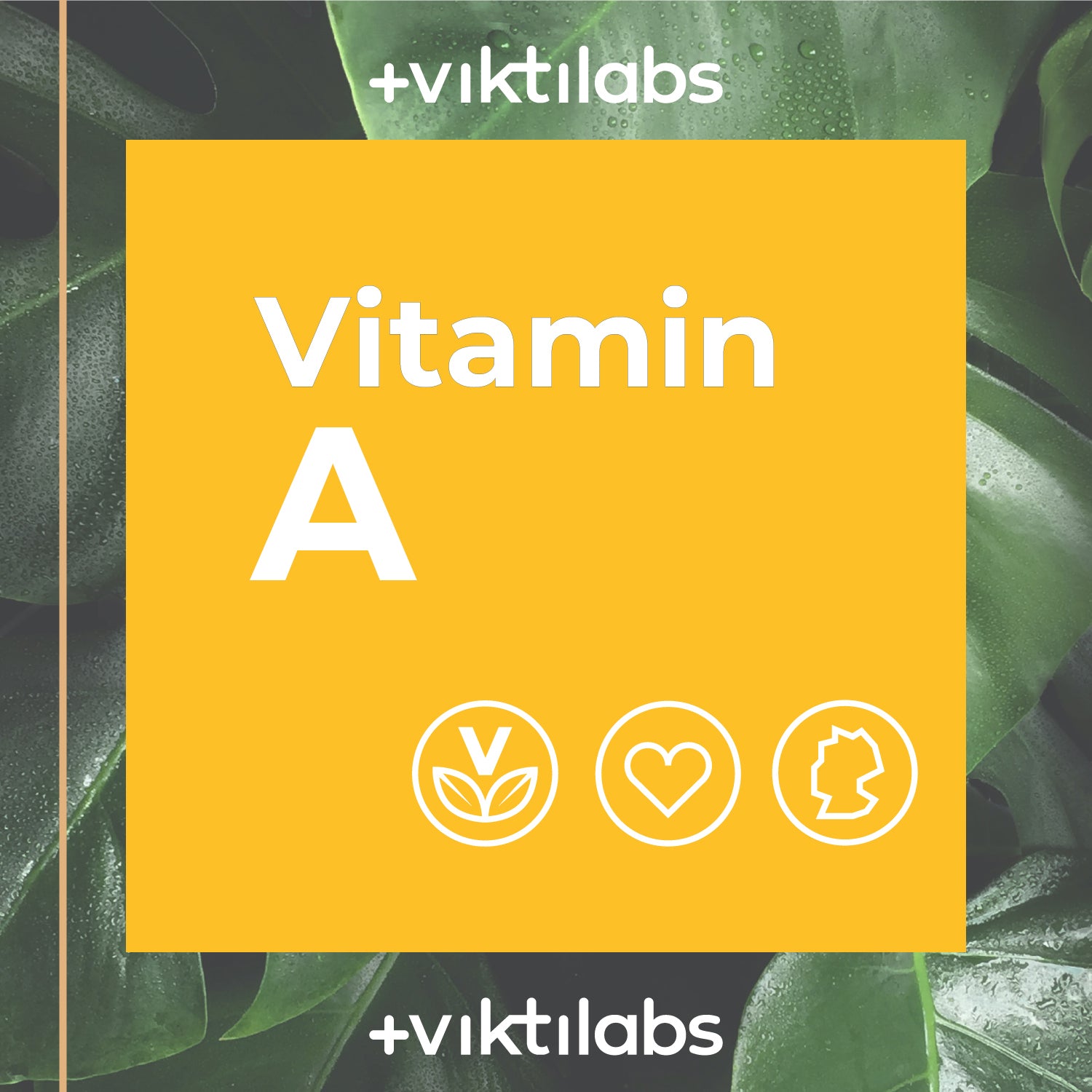 Vitamin A – in hochwertigem MCT-Öl gelöst - 50ml