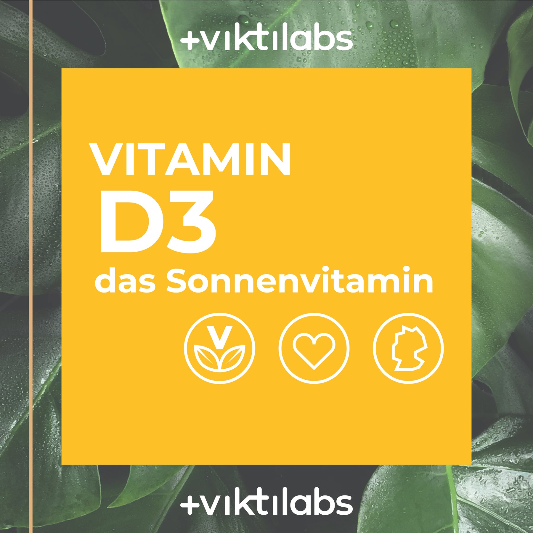 Das Sonnenvitamin D3 für Knochen, Muskeln und Immunsystem - 60 Kapseln
