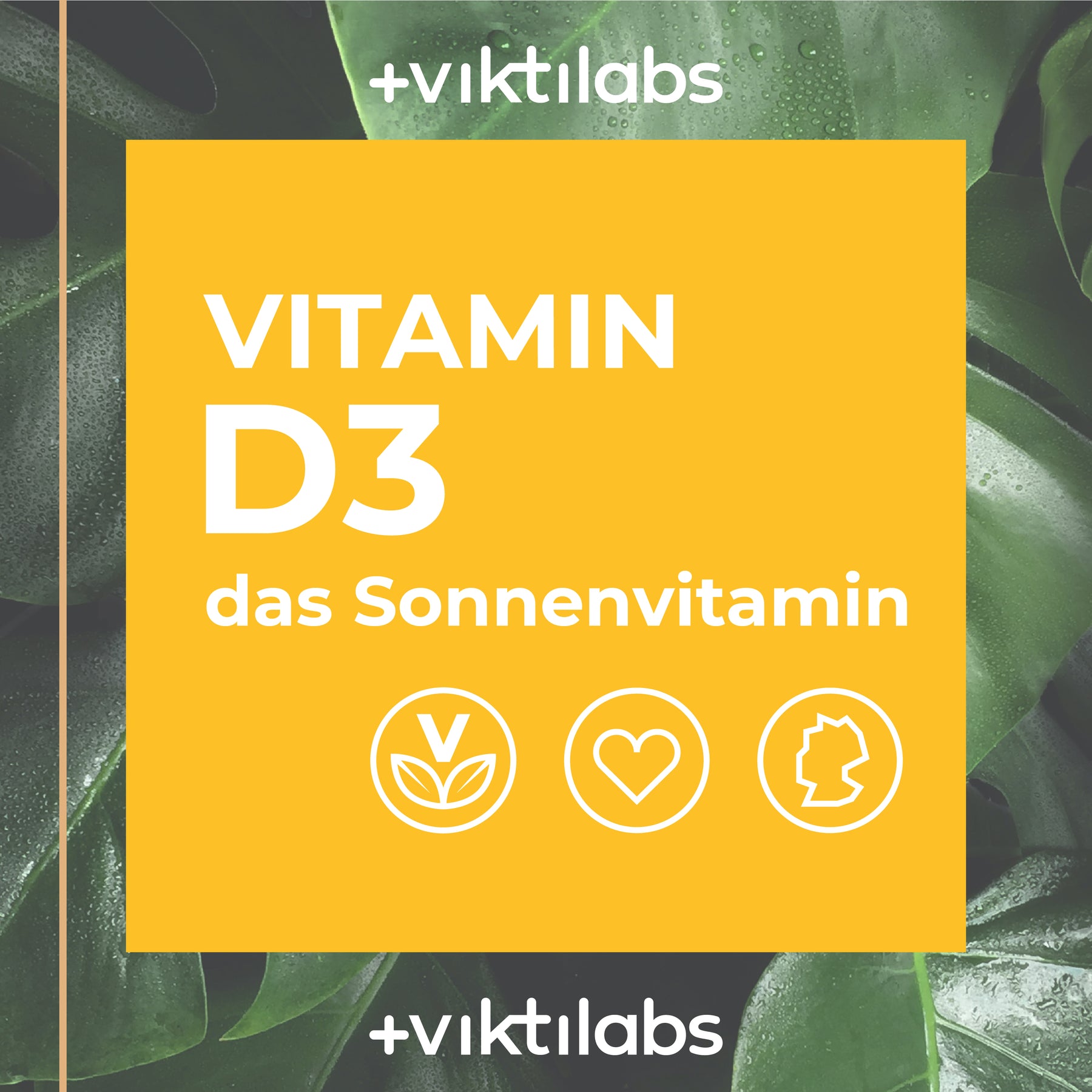 Das Sonnenvitamin D3 in hochwertigem Öl gelöst- 50ml