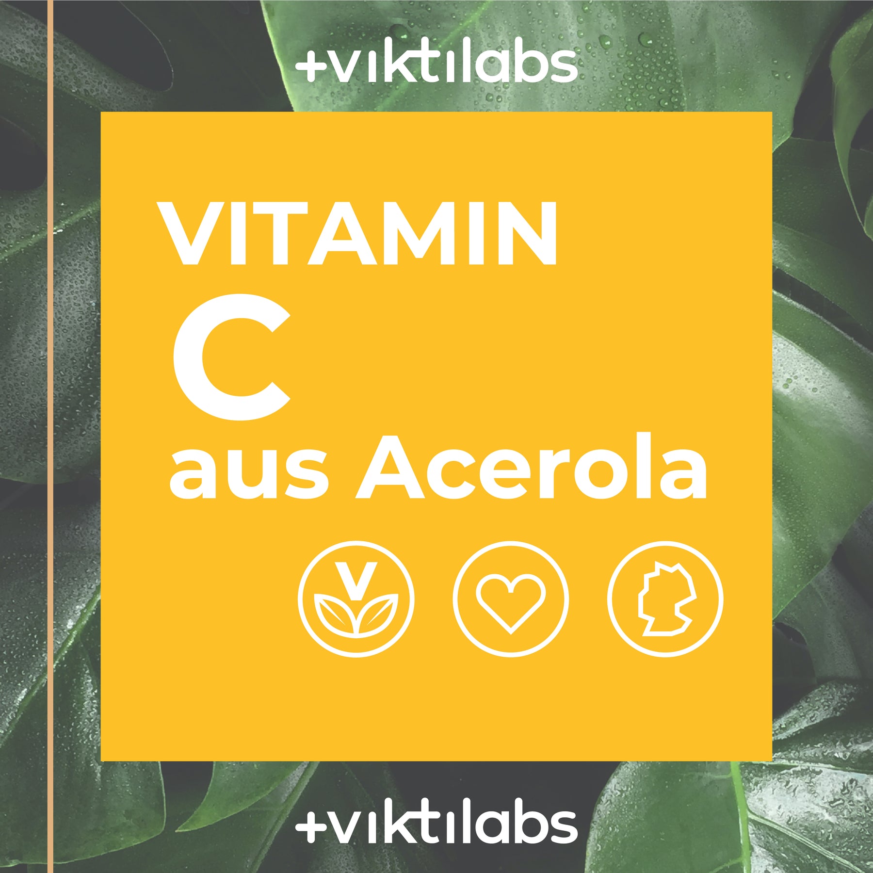 Vitamin C – natürlich aus der Acerolafrucht - 90 Kapseln