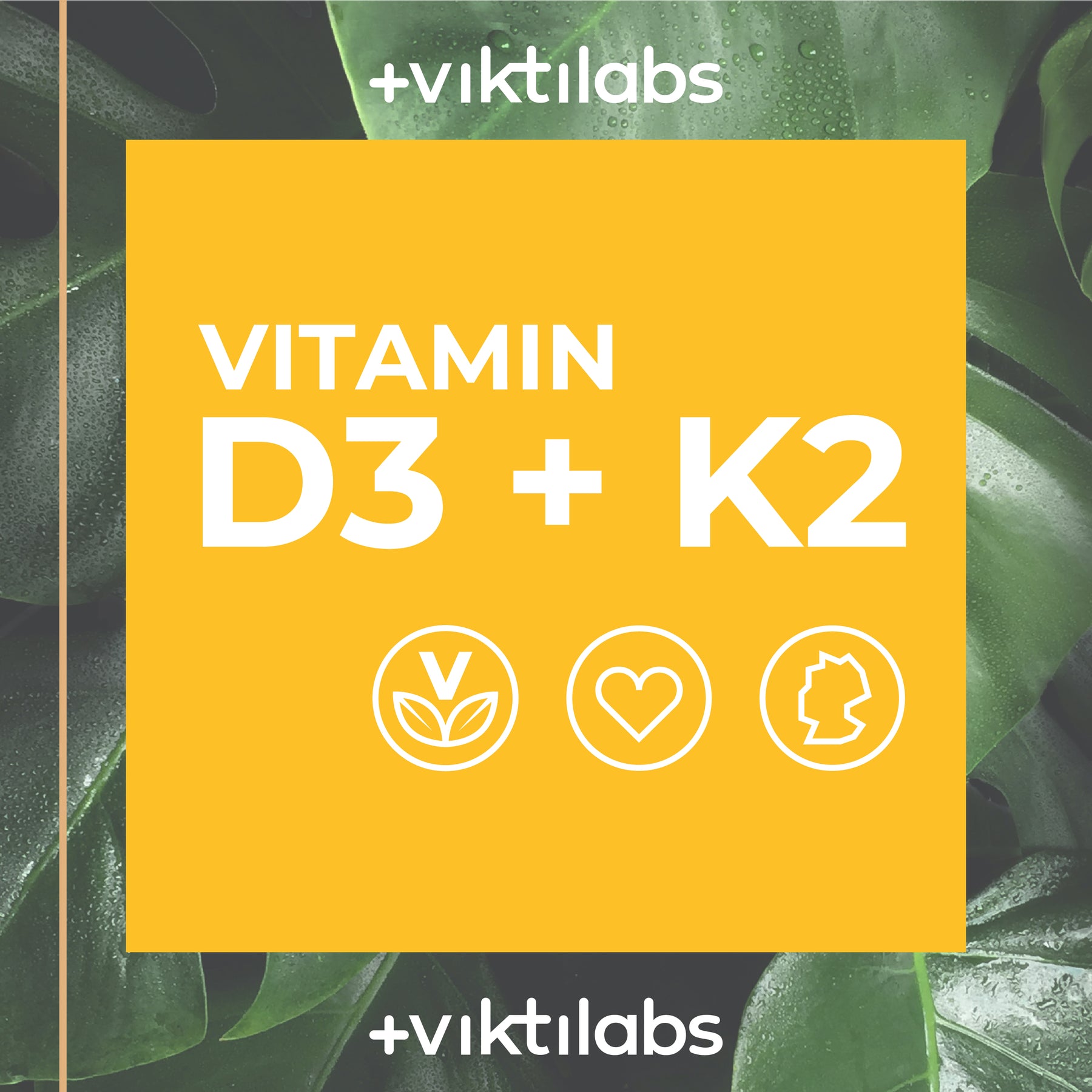 Vitamin D3 und K2 – starke Kombination für Ihre Knochen - 60 Kapseln