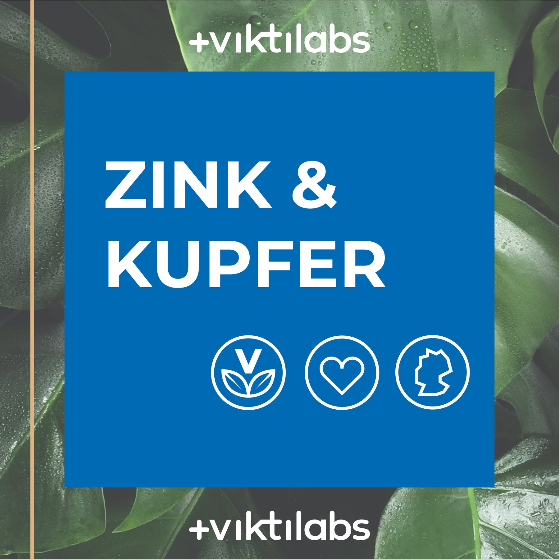 Zink & Kupfer – Stark für Immunsystem, Haut und Haare - 60 Kapseln