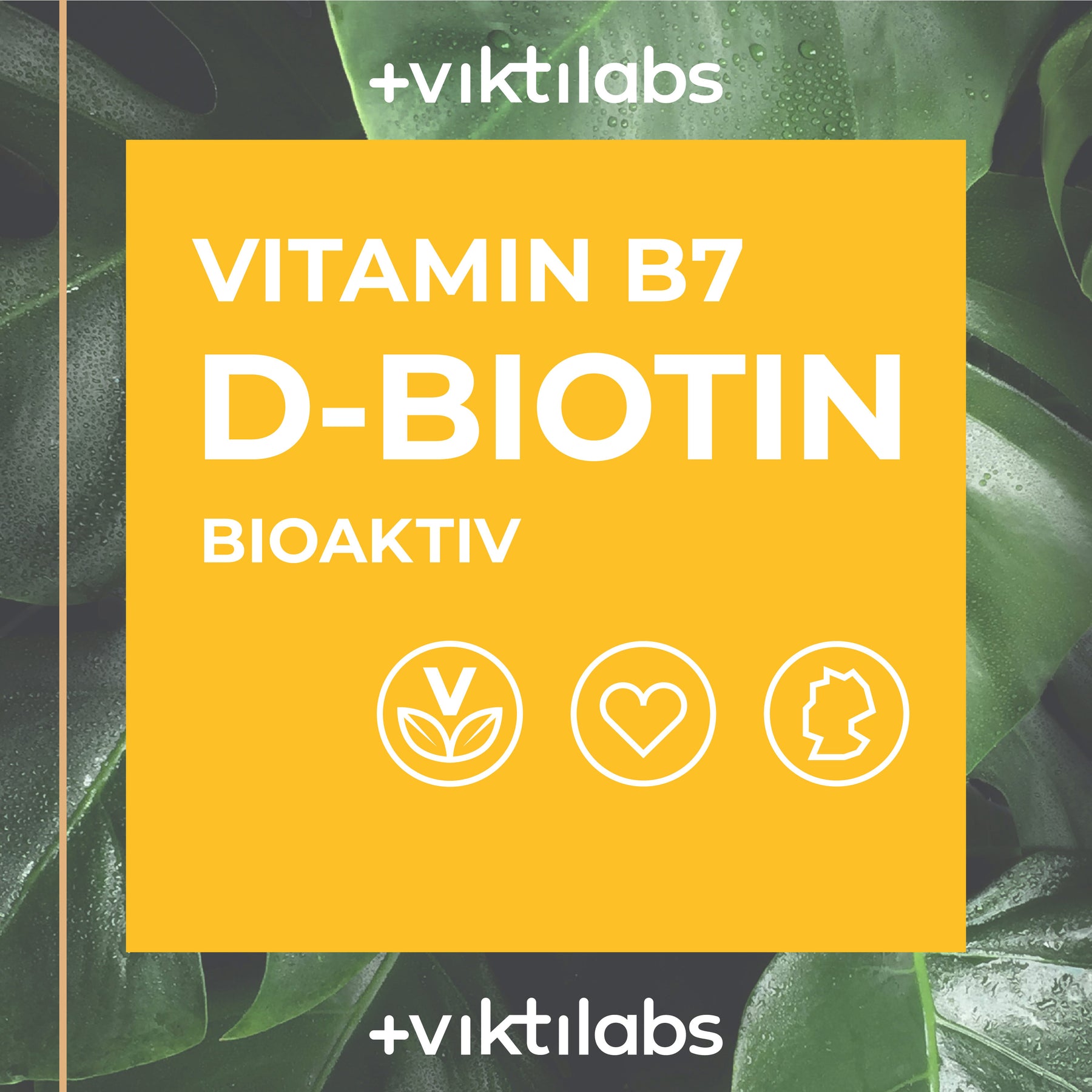 Vitamin B7 - D-Biotin (Bioaktiv) - 60 Kapseln