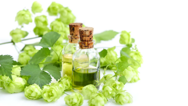 CBD ohne THC – Neue Methode machts möglich!