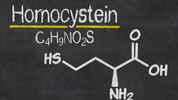 Erhöhtes Homocystein: Homocystein mit Nährstoffen senken