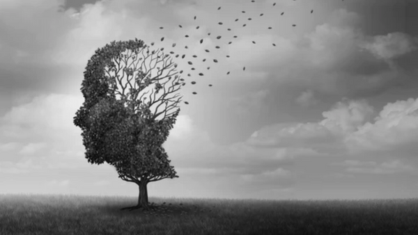 Alzheimer: Diese Rolle spielen Nährstoffe bei der Behandlung