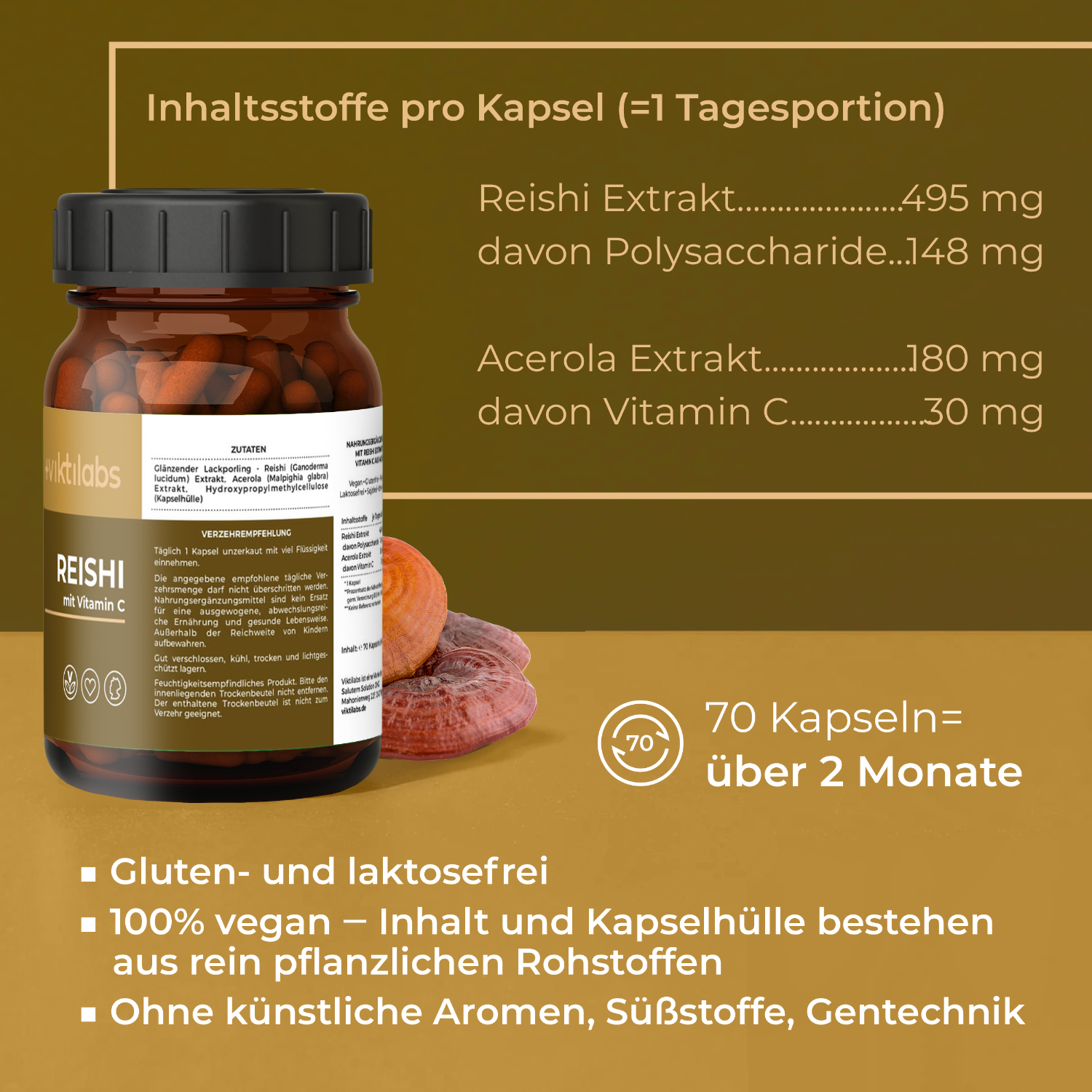 Viktilabs