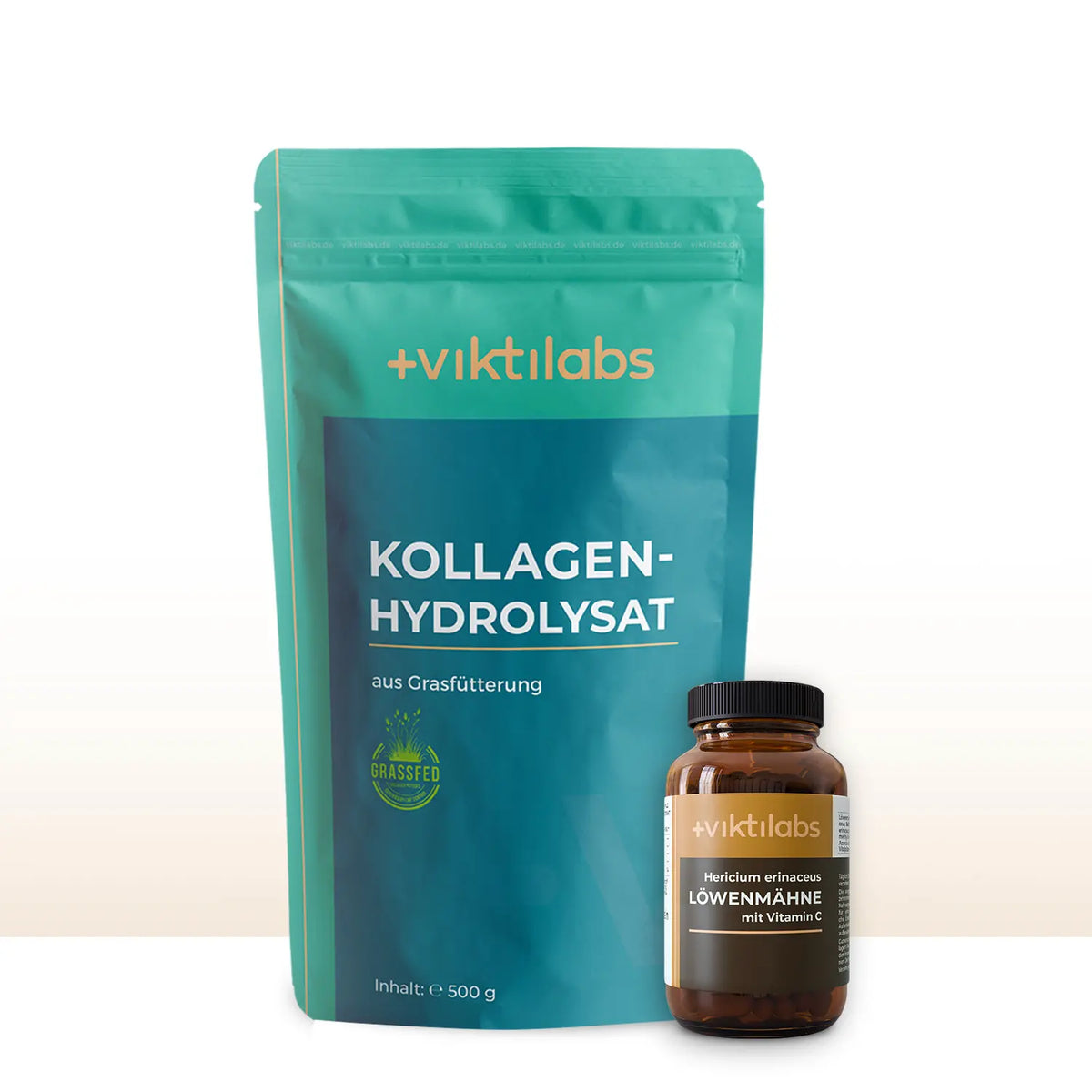 viktilabs-produktbild-bundle-darmgesundheit