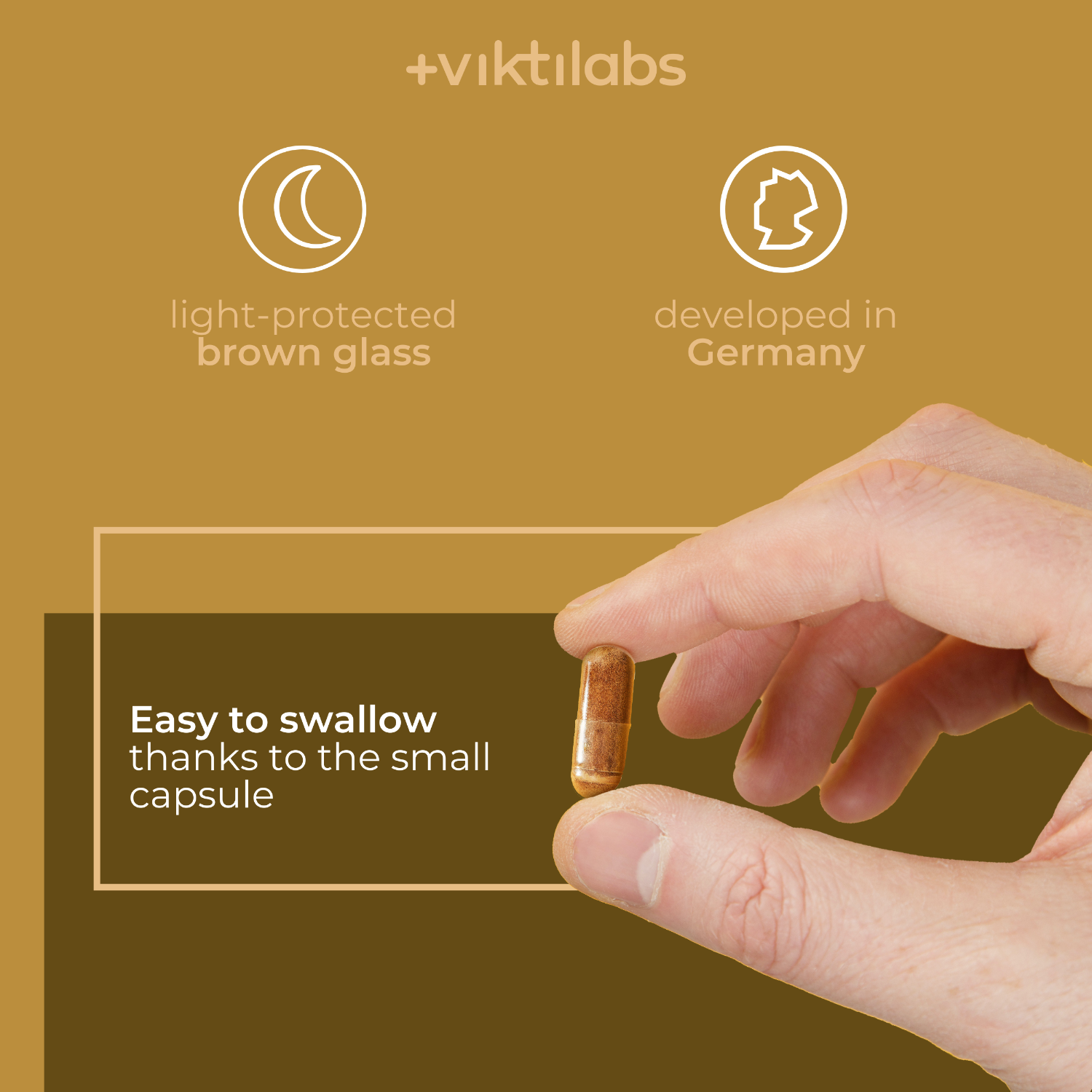 English Reishi 3 [lang-en]