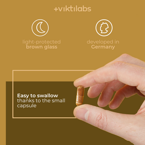 English Reishi 3 [lang-en]