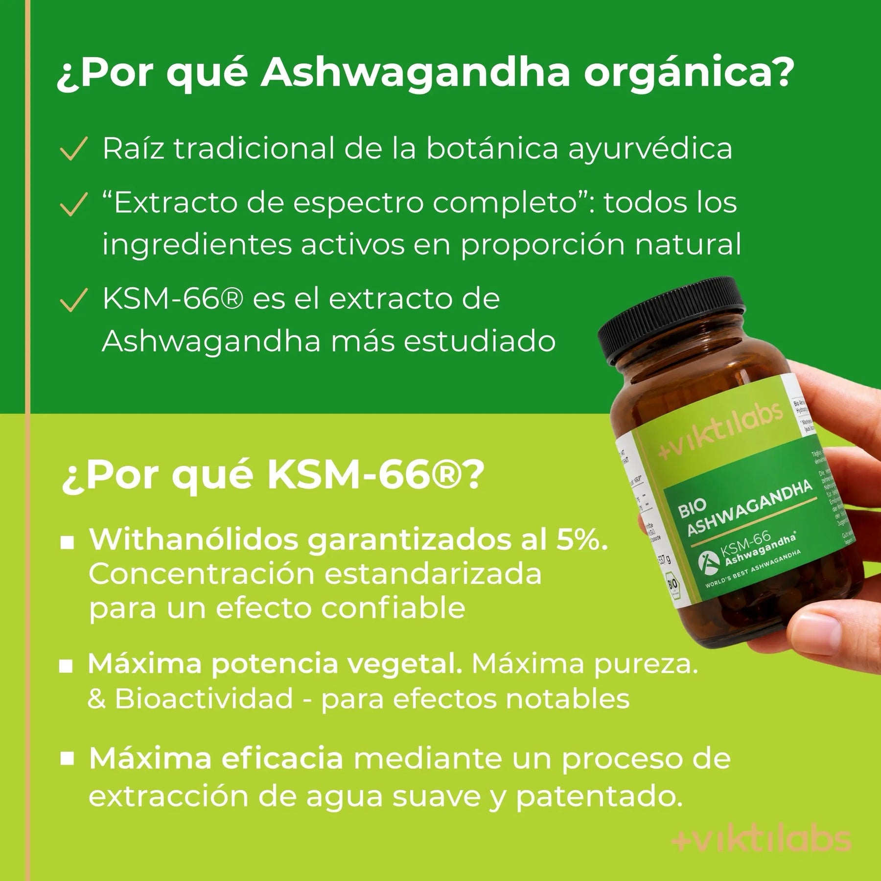viktilabs-ashwagandha-infografik-por-que-nuestro-producto [lang-es]