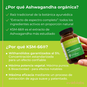 viktilabs-ashwagandha-infografik-por-que-nuestro-producto [lang-es]
