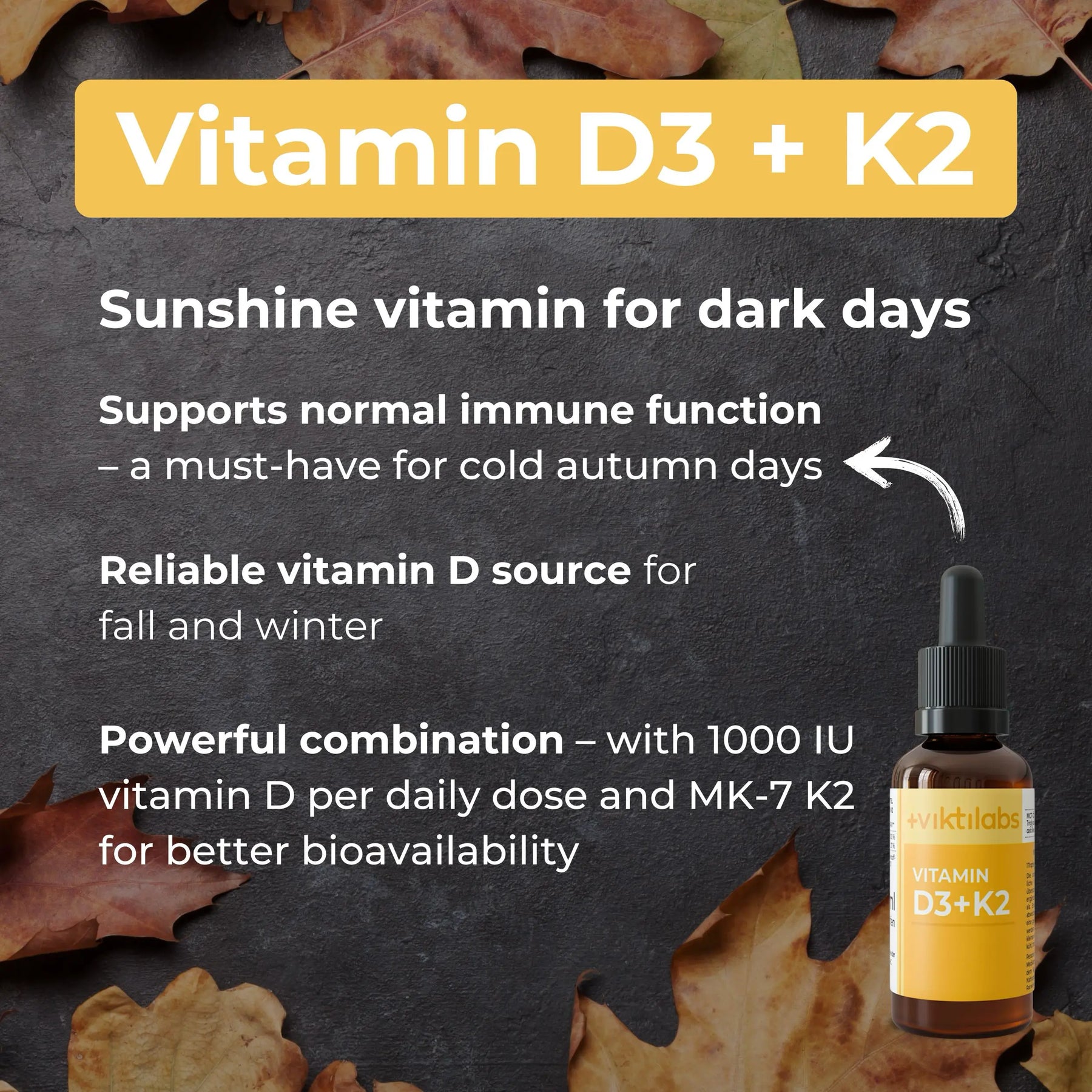 viktilabs-bundle-herbst-produkt-9 [lang-en]
