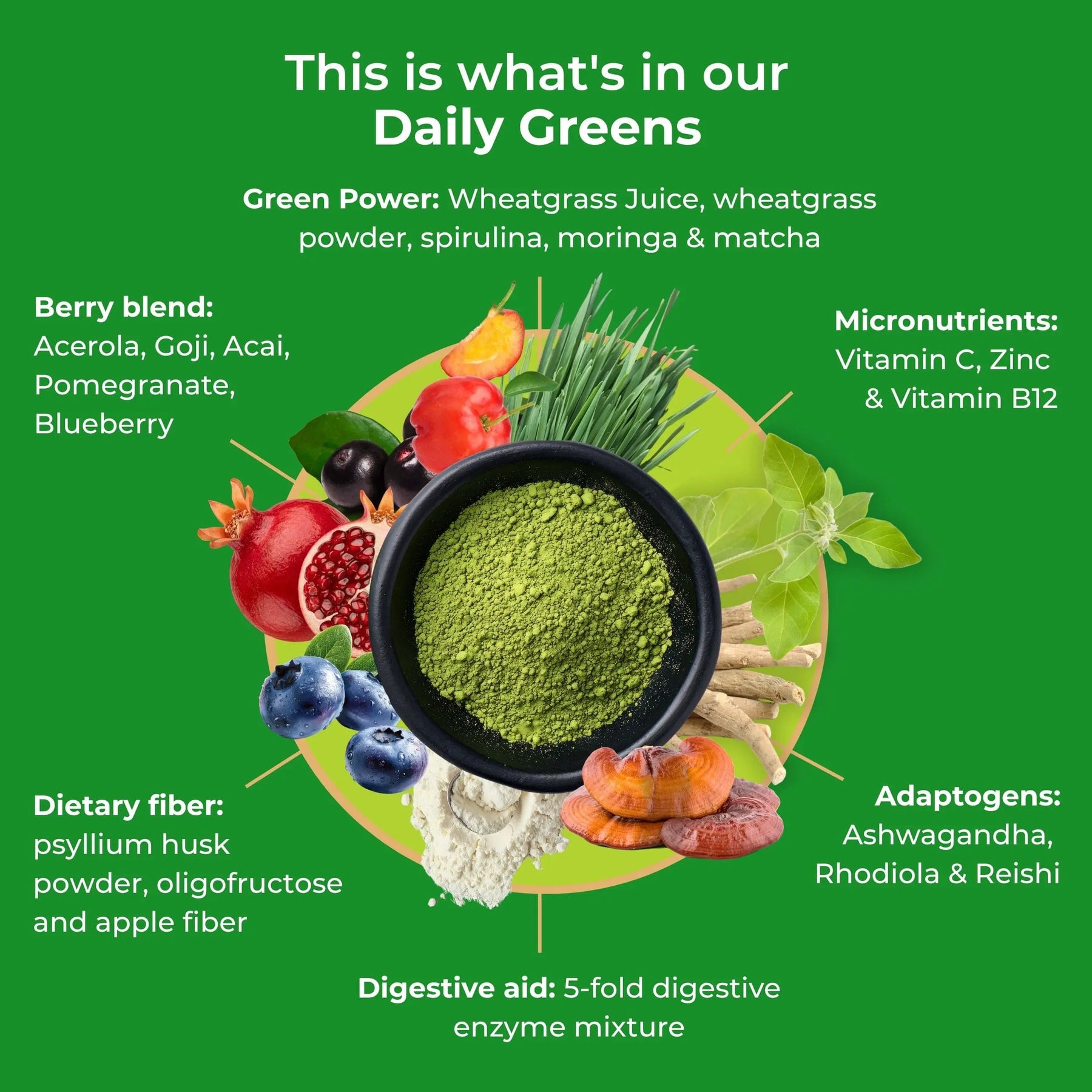 viktilabs-daily-greens-infografik-inhaltsstoffe [lang-en]
