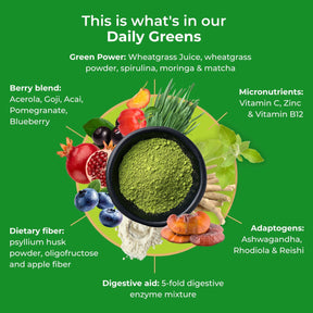 viktilabs-daily-greens-infografik-inhaltsstoffe [lang-en]
