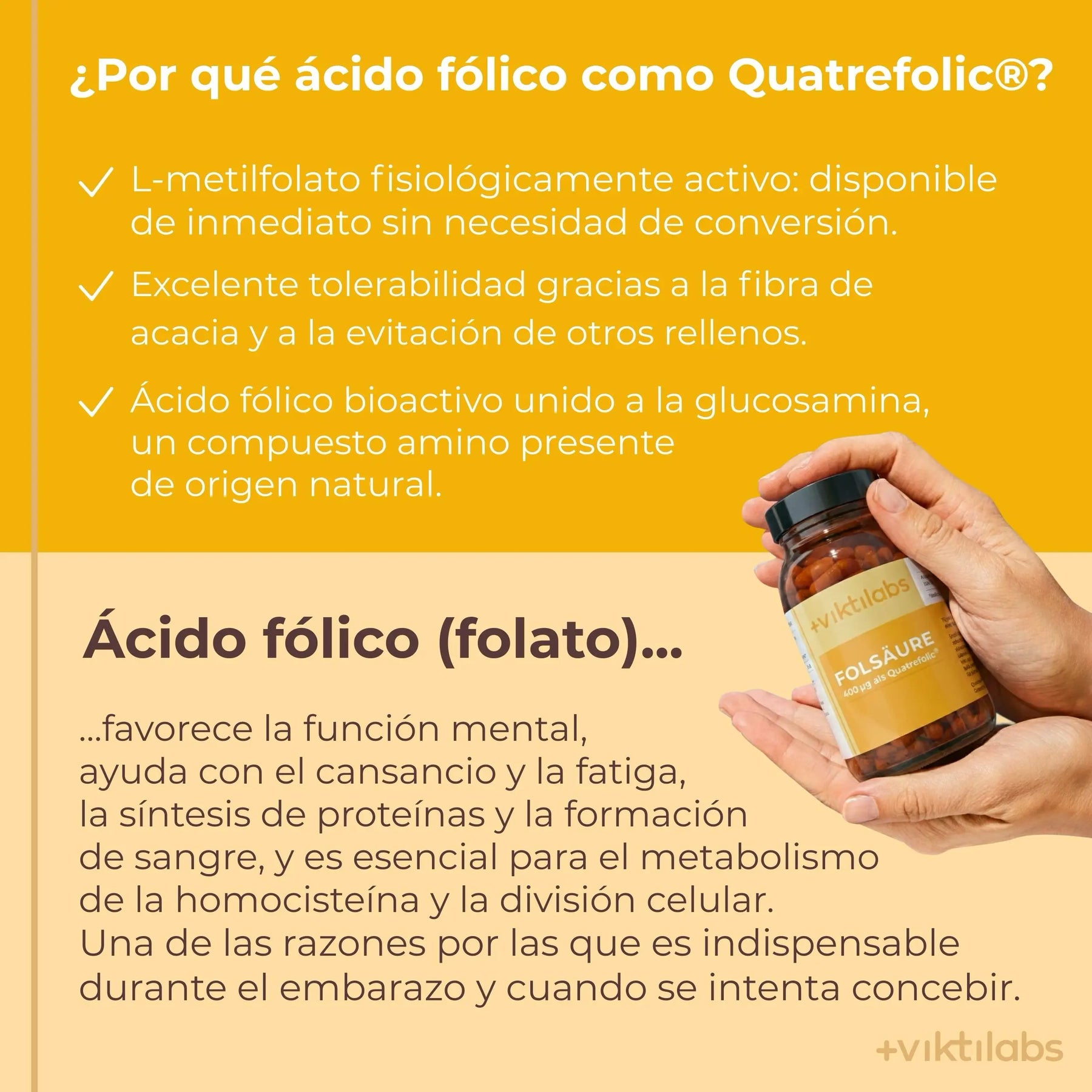 viktilabs-folsäure-infografik-warum-unser-produkt [lang-es]