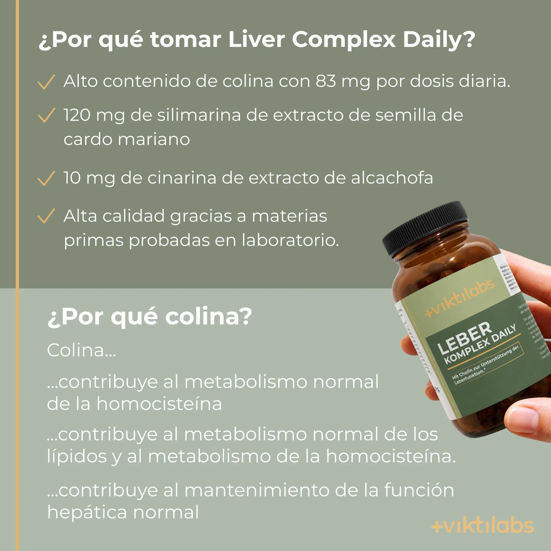 viktilabs-leber-komplex-infografik-por-que-nuestro-producto [lang-es]