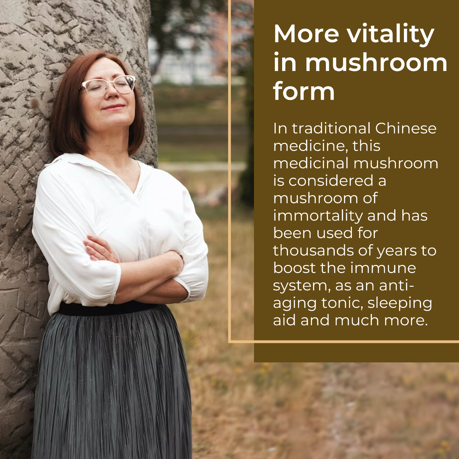 English Reishi 2 [lang-en]