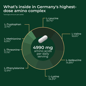 viktilabs-amino-8-infografik-ingredients [lang-en]