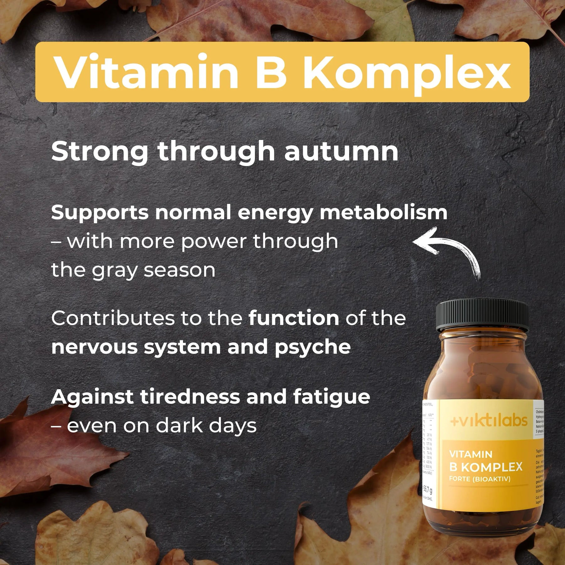 viktilabs-bundle-herbst-produkt-10 [lang-en]