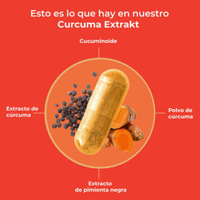 viktilabs-curcuma-extrakt-infografik-ingredientes [lang-es]