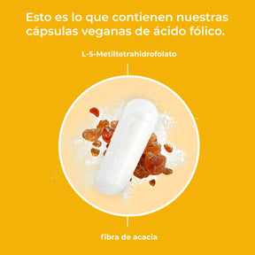 viktilabs-folsäure-infografik-inhaltsstoffe [lang-es]