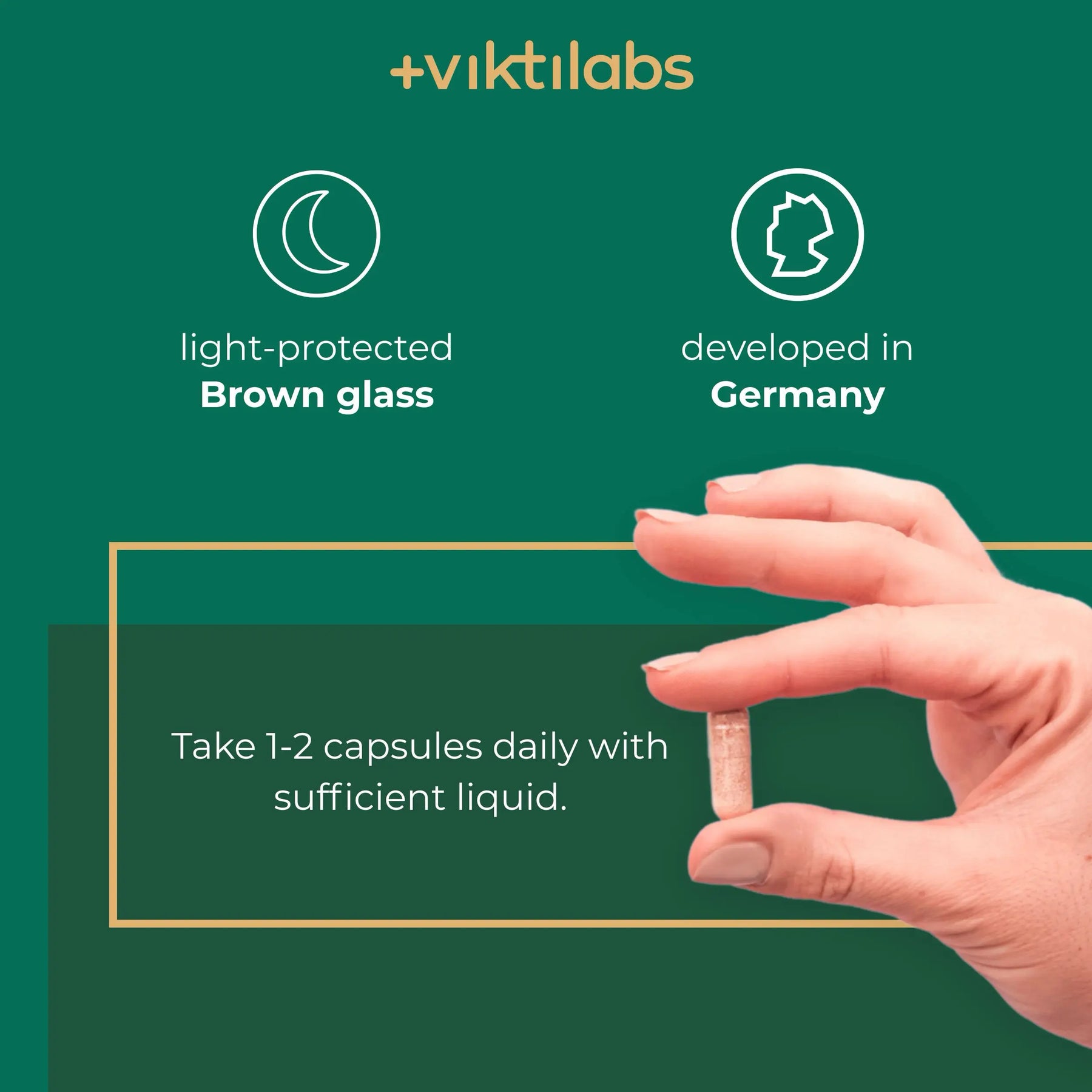 viktilabs-l-theanin-infografik-use [lang-en]